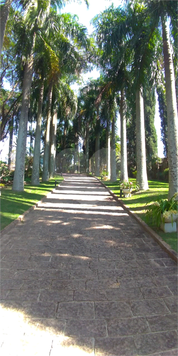 Venda Chácara Valinhos Estância Recreativa San Fernando 1