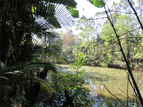 Venda Terreno São Paulo Jardim Dos Estados 1