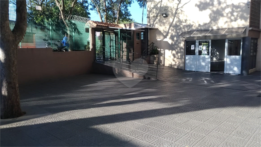 Venda Apartamento São Paulo Vila Constança 1