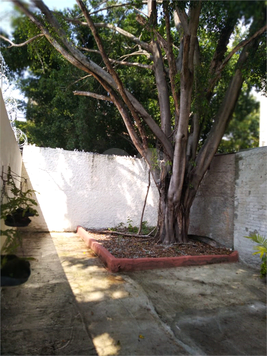 Venda Casa São Paulo Santo Amaro 1