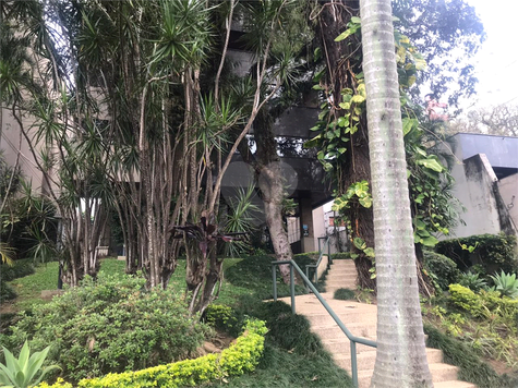 EDIFICIO ESTRELA BALLENA