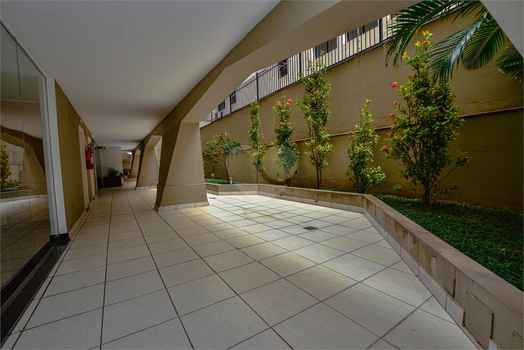 BARÃO DE PIRAPITINGUI