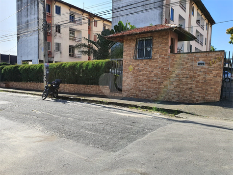 Maria Luiza Ary