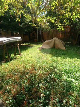 Venda Casa São Paulo Bela Aliança 1