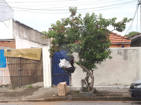 Venda Terreno Santo André Vila Camilópolis 1