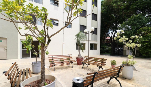 RUA JOSÉ PIRAGIBE,228