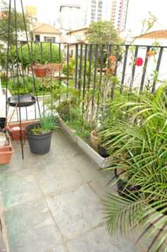 CHAMPS DU MONTE CARLO