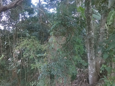 Venda Terreno Mairiporã Serra Da Cantareira 1
