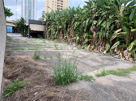 Aluguel Terreno São Paulo Vila Azevedo 1