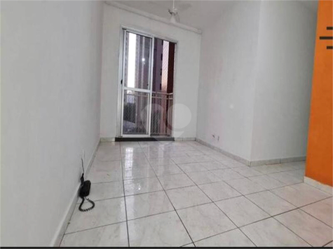 Aluguel Apartamento São Paulo Cambuci 1