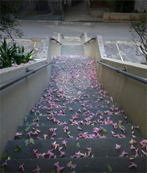 RESIDENCIAL MARQUÊS DE LAGES