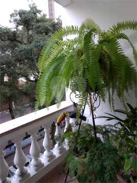 Edifício Dracena