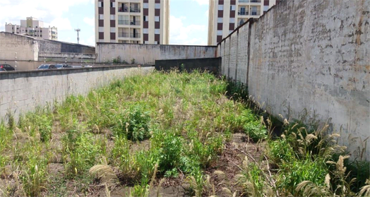 Venda Terreno São Paulo Jardim Vila Formosa 1