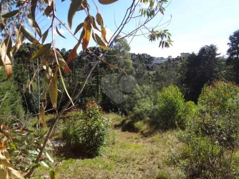 Venda Terreno Campos Do Jordão Capivari 1