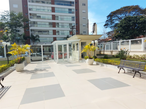 Aluguel Apartamento São Paulo Vila Hamburguesa 1