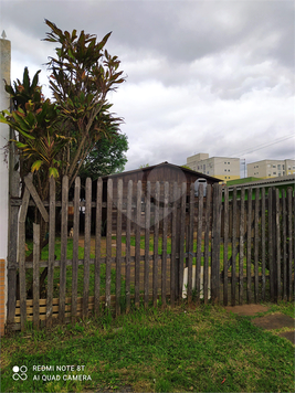 Venda Terreno Cachoeirinha Vila Vista Alegre 1