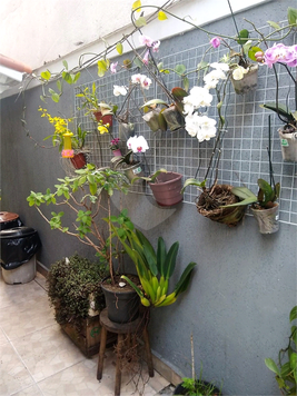 Venda Casa São Paulo Vila Anhangüera 1