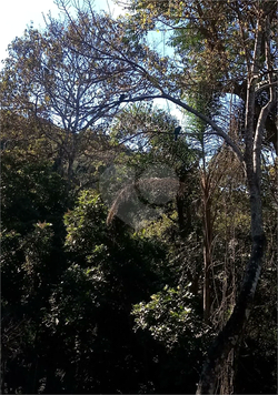 Venda Terreno Mairiporã Lavras 1