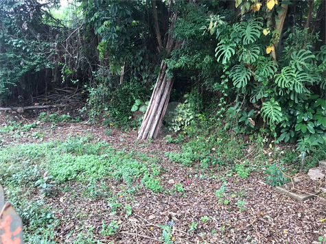 Venda Terreno São Paulo Horto Florestal 1