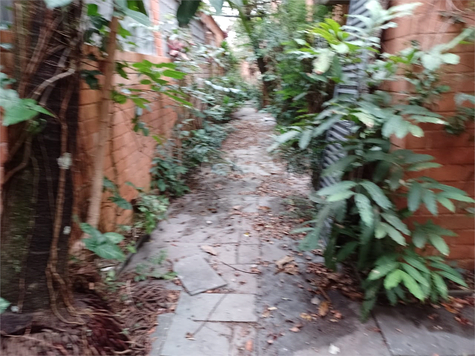 Aluguel Casa São Paulo Jardim Paulista 1