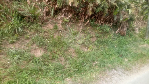 Venda Terreno Mairiporã Caraguatá 1