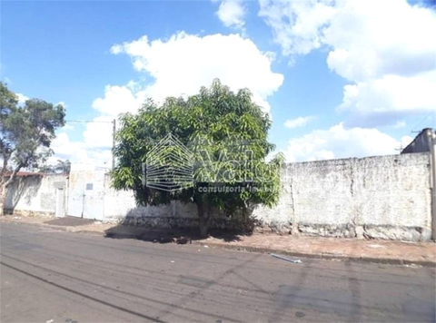 Aluguel Terreno São Carlos Vila Prado 1
