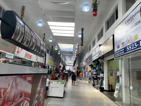 GALERIA BORBA GATO