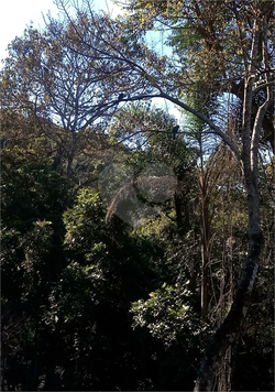 Venda Terreno Mairiporã Caraguatá 1