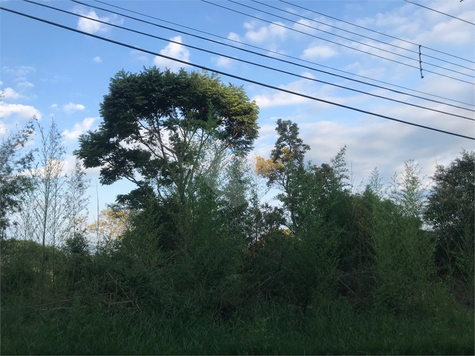 Venda Terreno Mairiporã Roseira 1