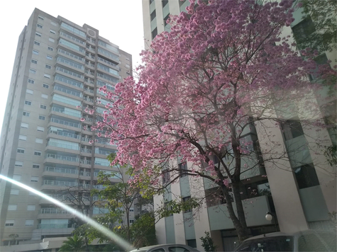 Venda Apartamento São Paulo Vila Firmiano Pinto 1