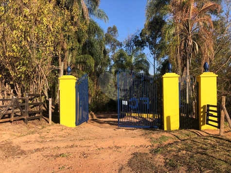Venda Fazenda Morungaba Centro 1