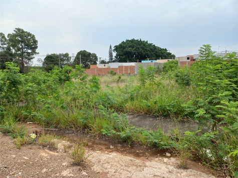 Venda Loteamento São Carlos Parque Industrial 1