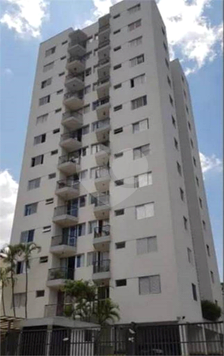 GUARAPARI E ARARUANA
