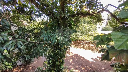 Venda Terreno São João Da Boa Vista Jardim Satélite 1