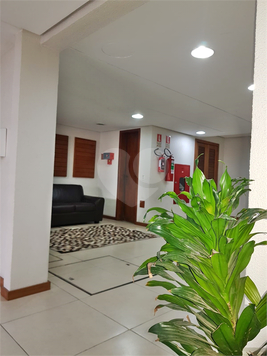 Venda Salas Porto Alegre Rio Branco 1