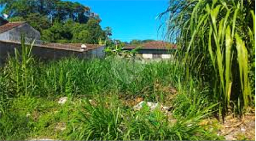 Venda Terreno São Paulo Vila Constança 1