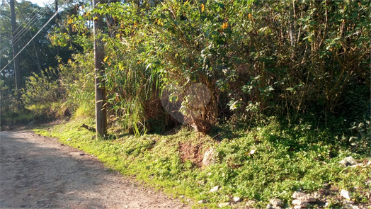 Venda Terreno Mairiporã Caraguatá 1
