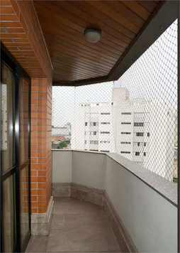 ELFI DA CANTAREIRA