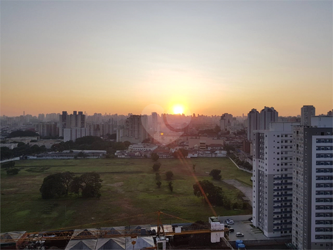 Venda Apartamento São Paulo Cambuci 1