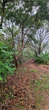 Venda Loteamento Mairiporã Roseira 1