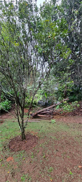 Venda Loteamento Mairiporã Roseira 1