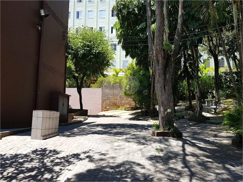 RIO MADEIRA II