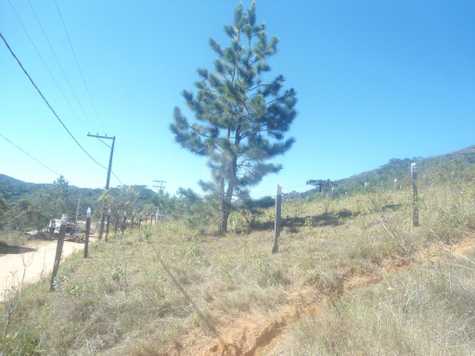 Venda Terreno Campos Do Jordão Santa Barbara 1