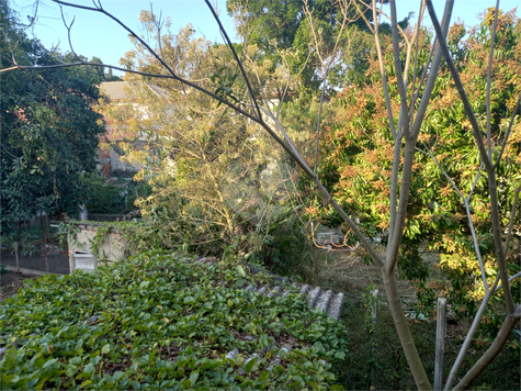 Venda Casa São Paulo Vila Isolina Mazzei 1