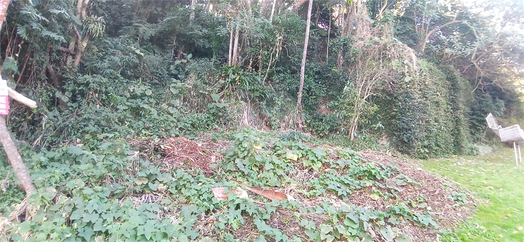 Venda Condomínio Mairiporã Caraguatá 1