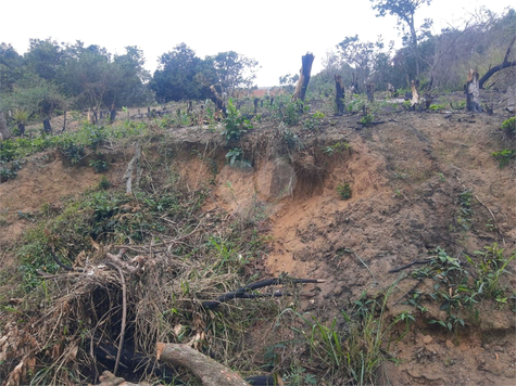 Venda Loteamento Maricá Balneário Bambuí (ponta Negra) 1