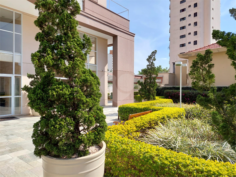 WONDERFUL JARDIM AVELINO