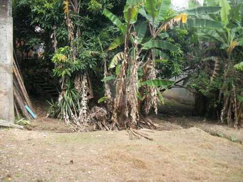 Venda Terreno São Paulo Jardim Jussara 1