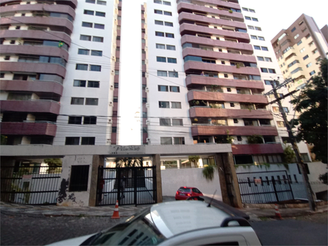 Pituba Top