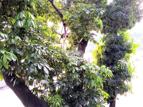 Condomínio do Edifício Rio Juruá